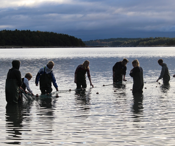 Bild på Öckerö Seglande Gymnasieskola