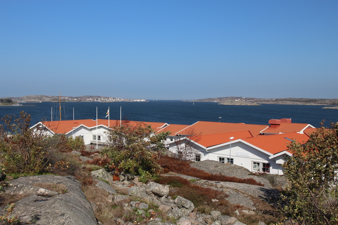 Bild på Öckerö Seglande Gymnasieskola