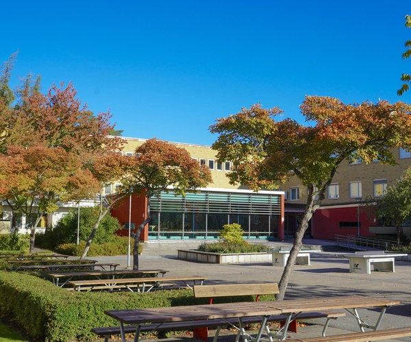 Bild på Rosendalsgymnasiet