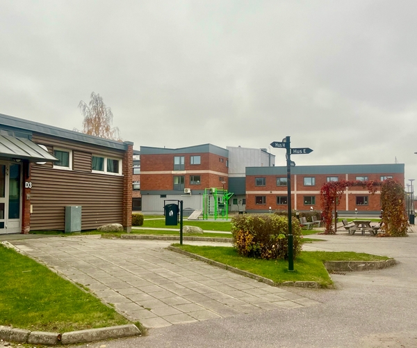 Bild på Alléskolan