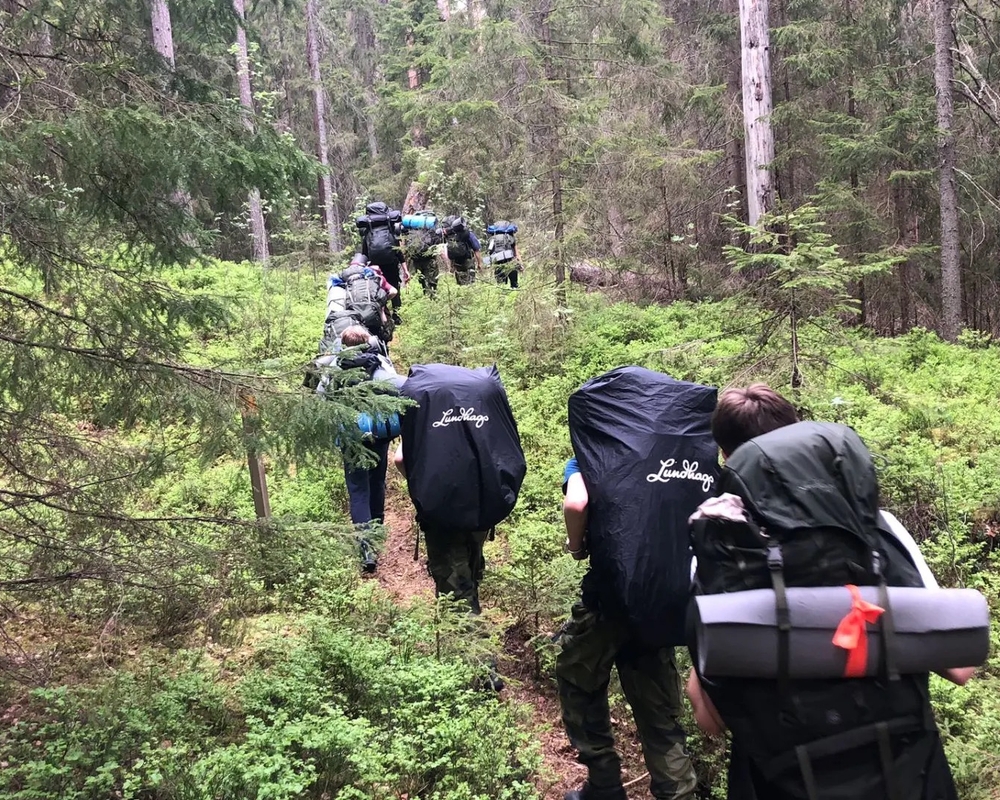 Bild på bernadotte-skogsutflykt.jpeg