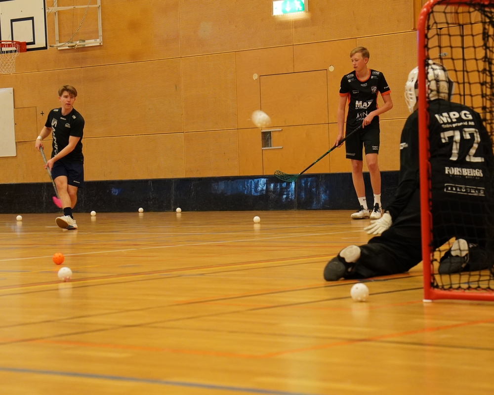 Bild på innebandy.JPG