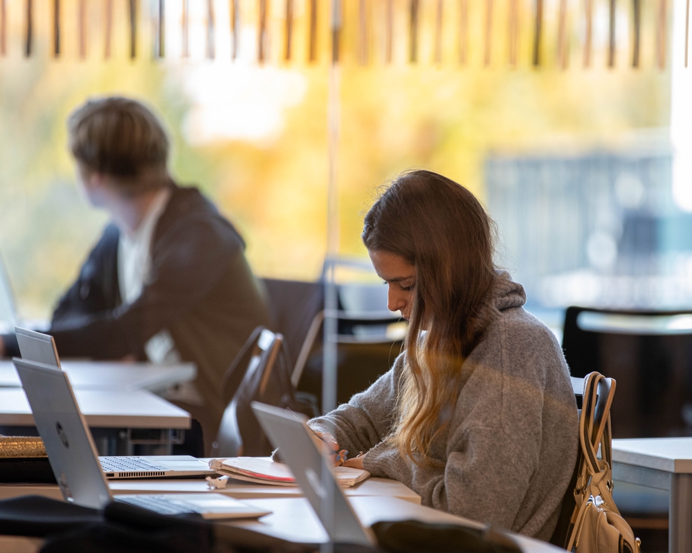 Bild på 5-Grön-17102023-10.JPG