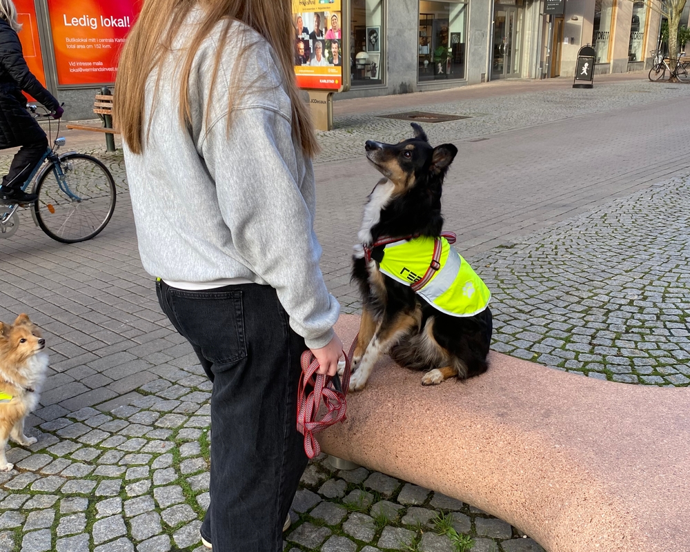 Bild på IMG_6838.jpeg