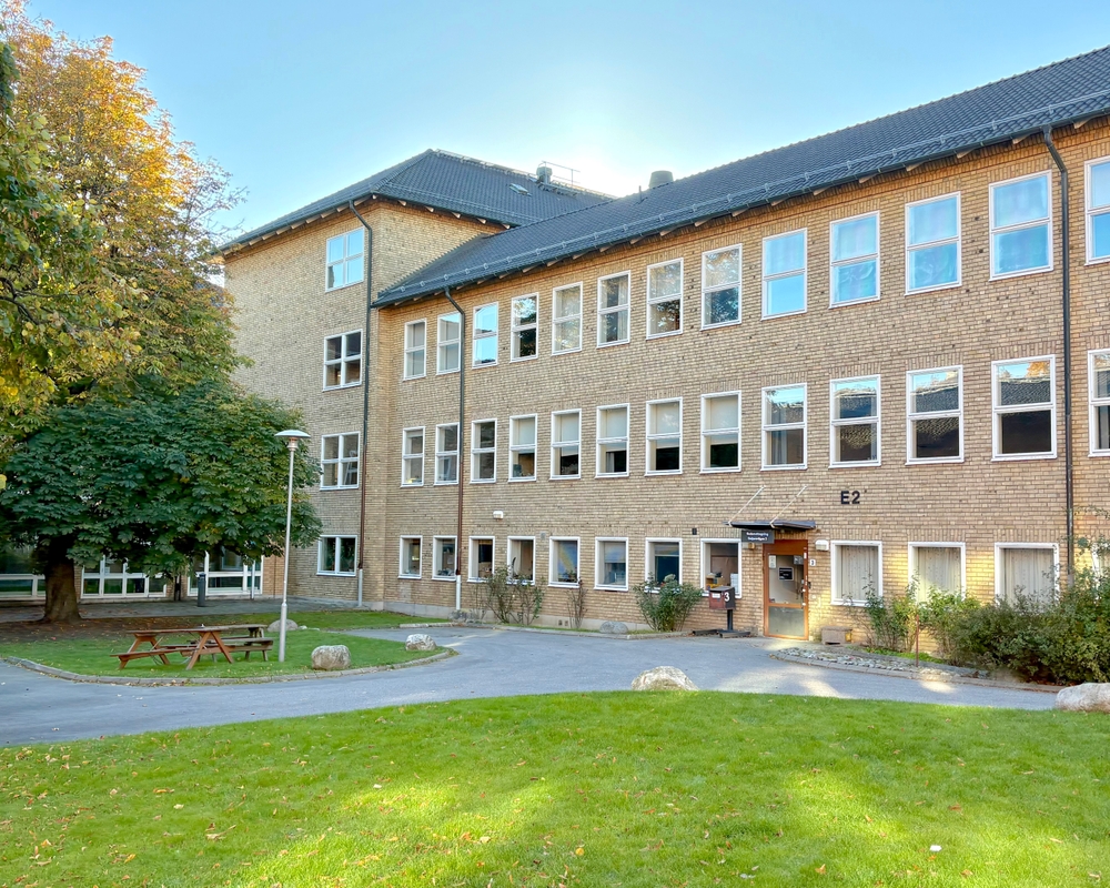 Bild på IMG_5747.jpeg