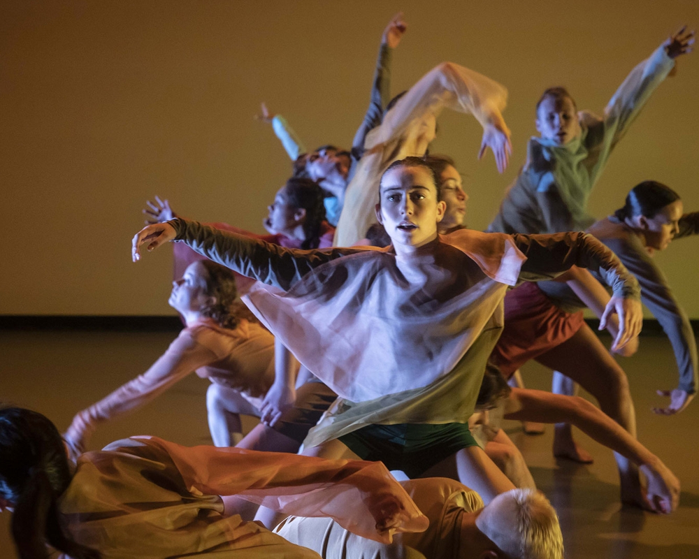 Bild på Blazing.jpg