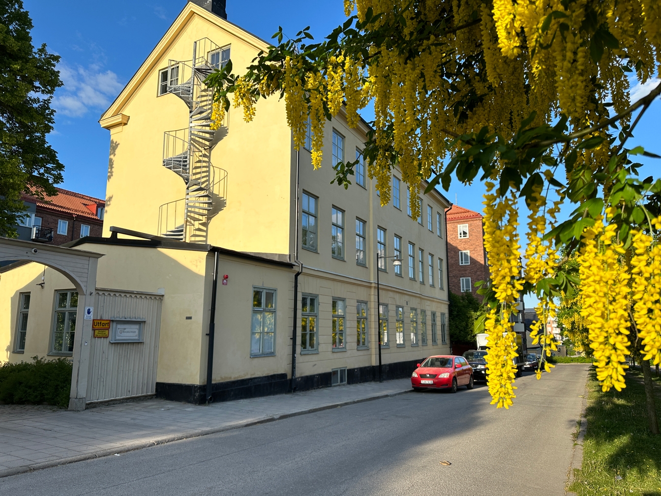 Bild på G7 och Guldregn 2 IMA och SASAM.JPG