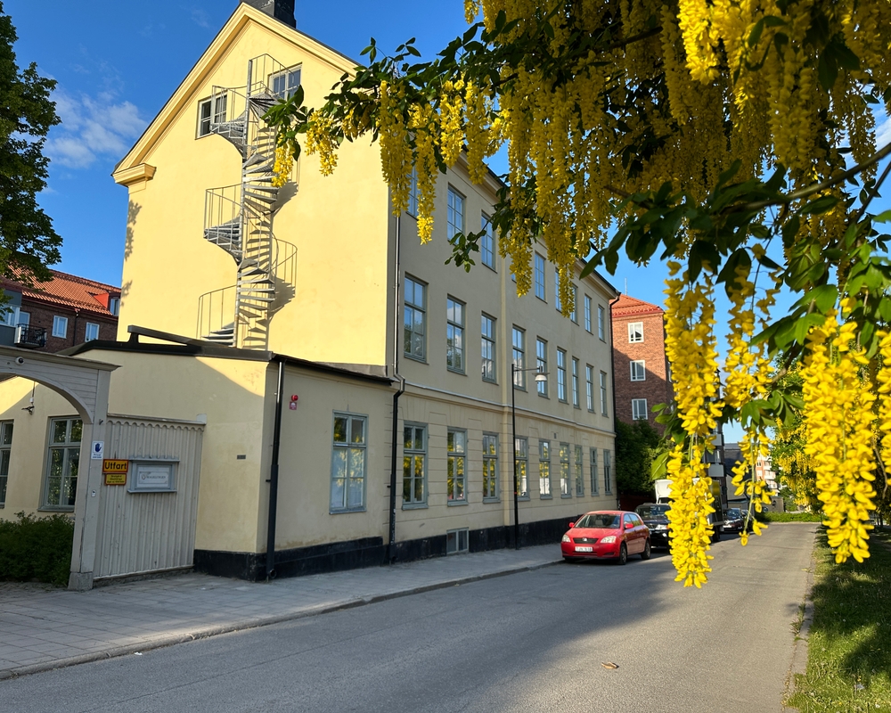 Magelungen Gymnasium Södermalm