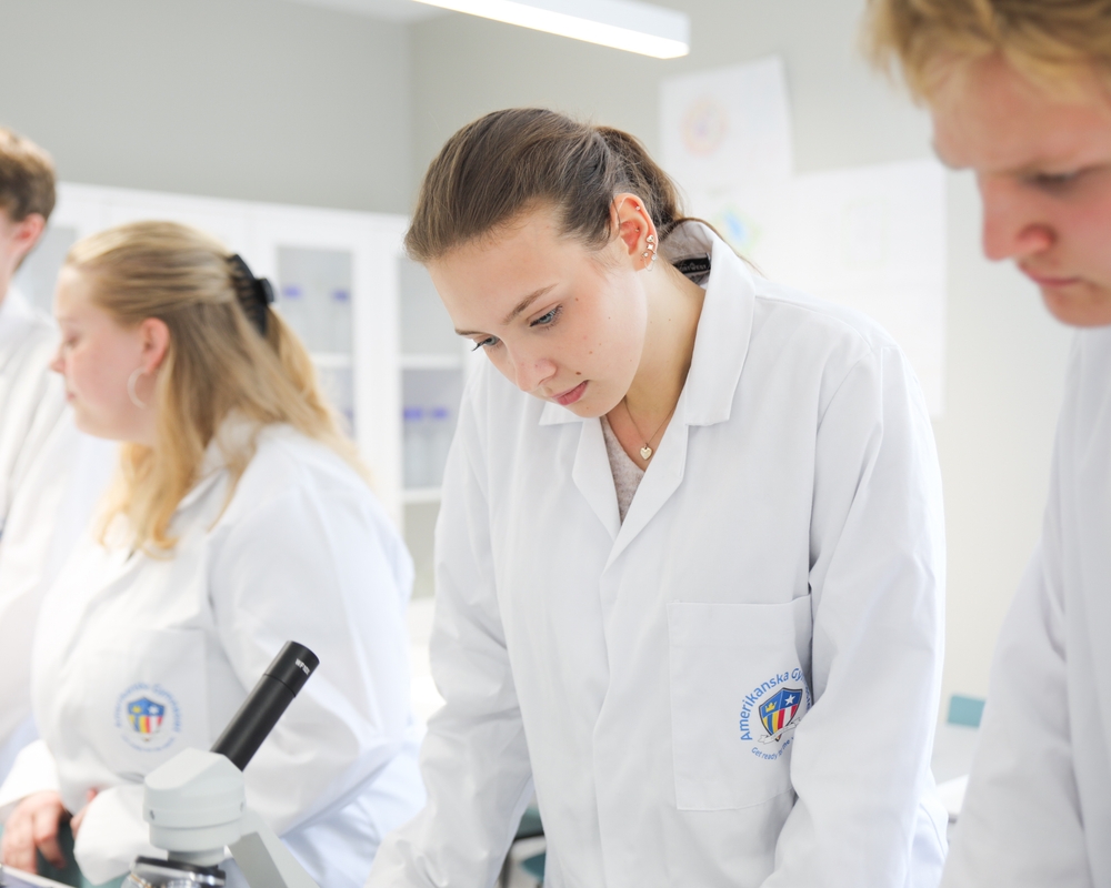 Bild på 2A8A9245.jpg