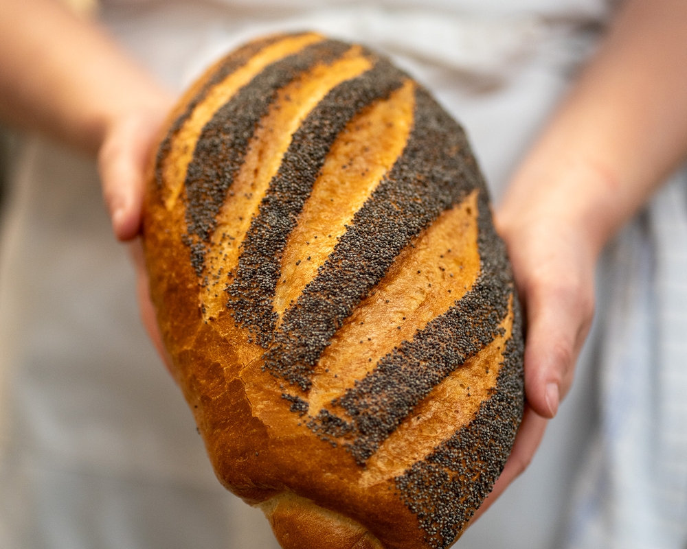 Bild på DSC01972.jpg