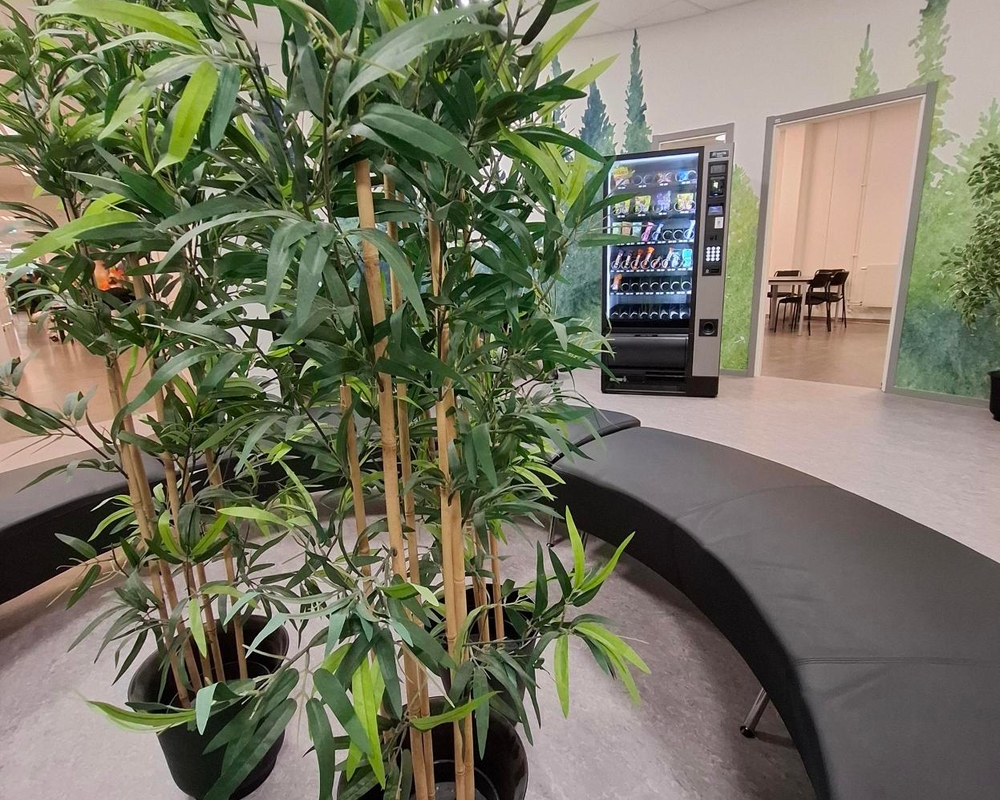 Bild på Media (15).jpg