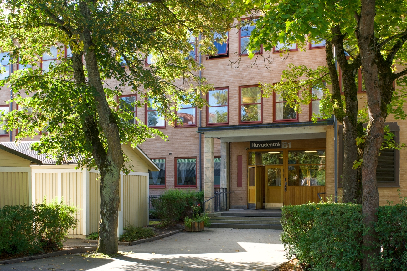 Bild på huvudbild-2.jpg