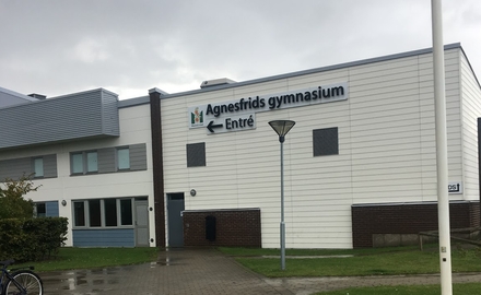 Agnesfrids Gymnasium