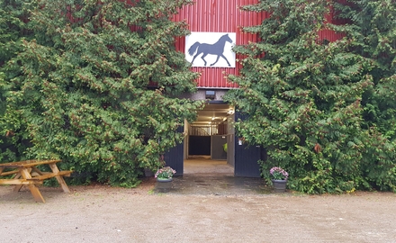 Ingelstadgymnasiet i Ingelstad