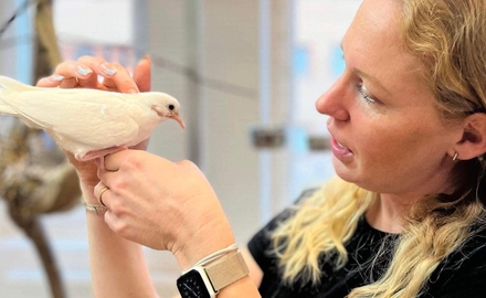 Djurgymnasiet lärare och fågel