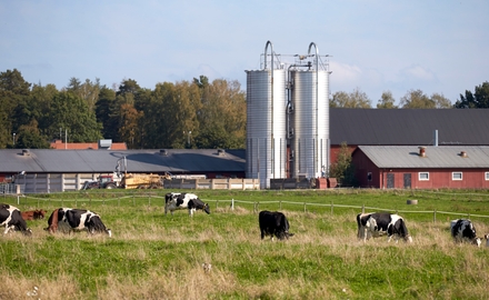 Naturbruksskolan Uddetorp