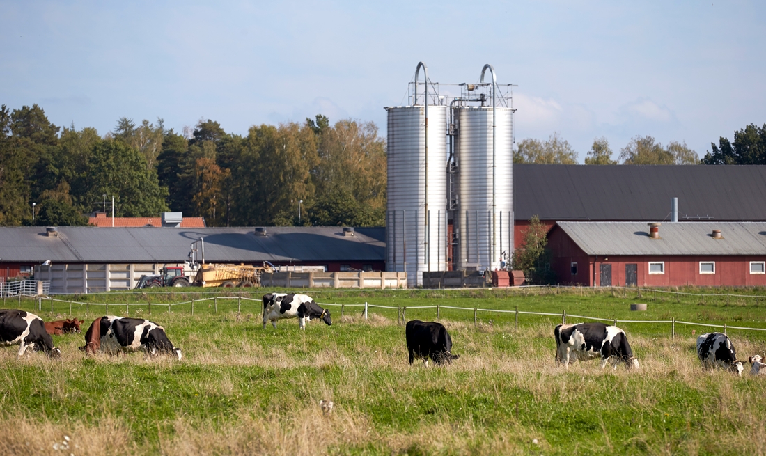 Naturbruksskolan Uddetorp i Skara