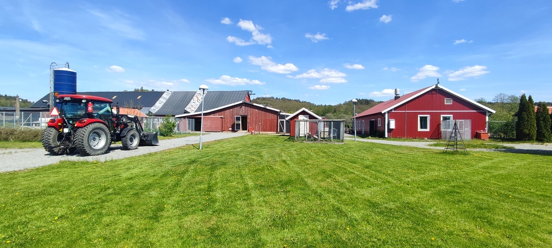 Dinglegymnasiet i Dingle