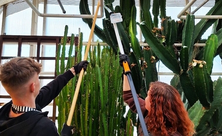 Dinglegymnasiet i Dingle