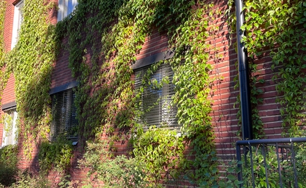 Amerikanska Gymnasiet Campus Frescati Hage i Stockholm