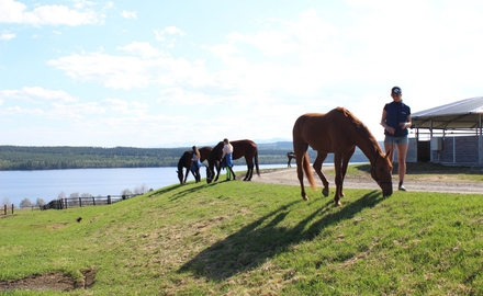 Jämtlands Gymnasium Wången i Alsen