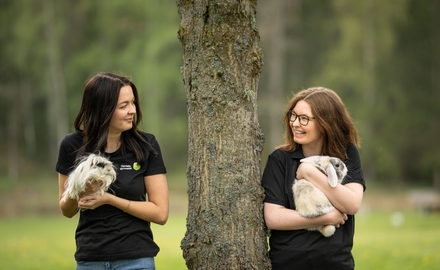 Gamlebygymnasiet i Gamleby