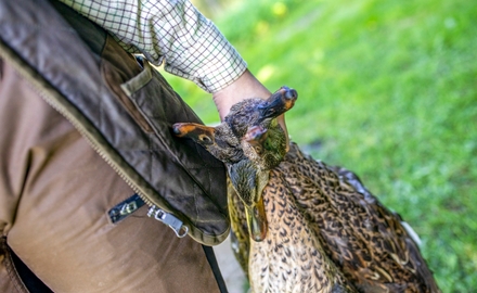 Ryssbygymnasiet i Ryssby