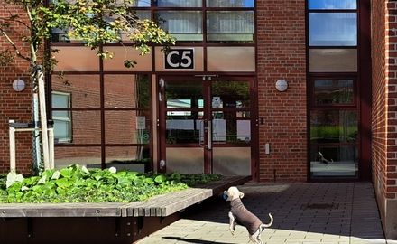 Malmö Borgarskola i Malmö