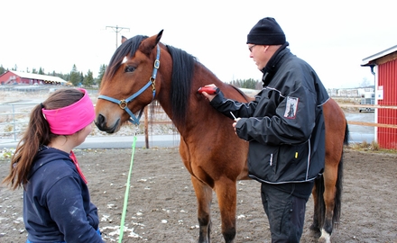 Jämtlands Gymnasium Wången i Alsen