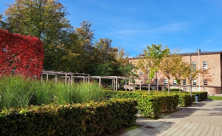 Malmö Borgarskola i Malmö