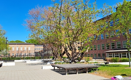 Malmö Borgarskola i Malmö