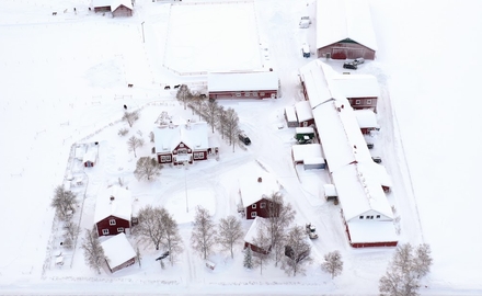 Dille Gård Naturbruksgymnasium