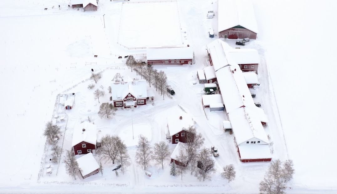 Dille Gård Naturbruksgymnasium i Ås