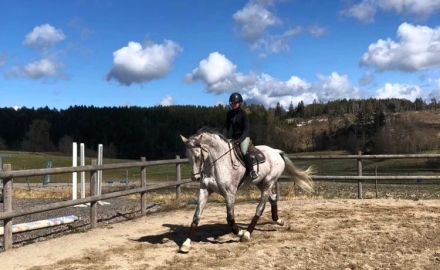 Dinglegymnasiet i Dingle