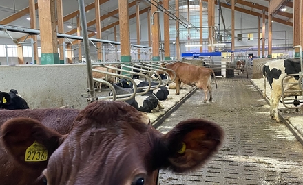 Vreta Utbildningscentrum i Vreta Kloster