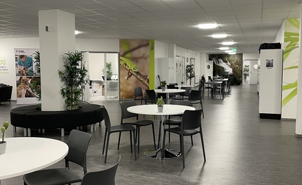 Realgymnasiet Borlänge i Borlänge