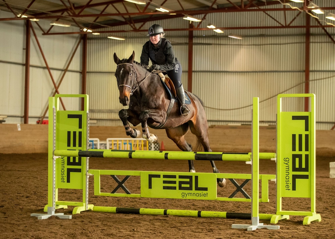 Utbildningen Ridning Realgymnasiet i Sundbyberg