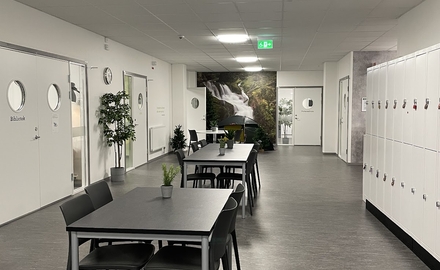 Realgymnasiet Borlänge i Borlänge