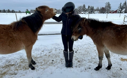 Dille Gård Naturbruksgymnasium i Ås