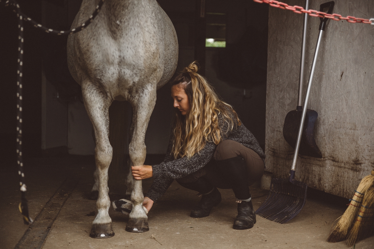 Djuruppfödare och djurskötare