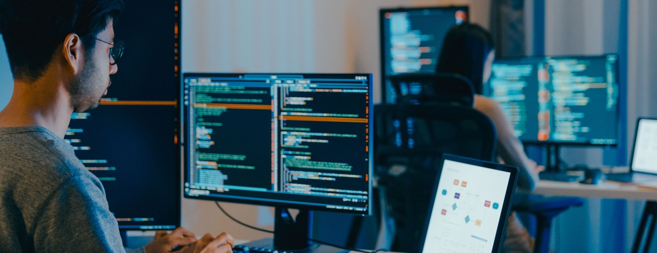 Datasystemutveckling