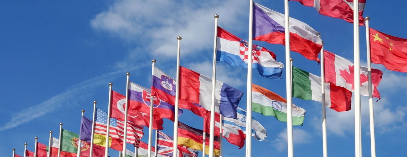 Internationella programmet för politik och ekonomi