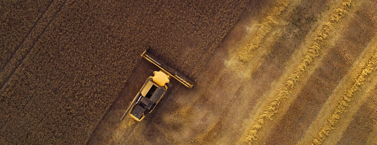 Lantmästarprogrammet