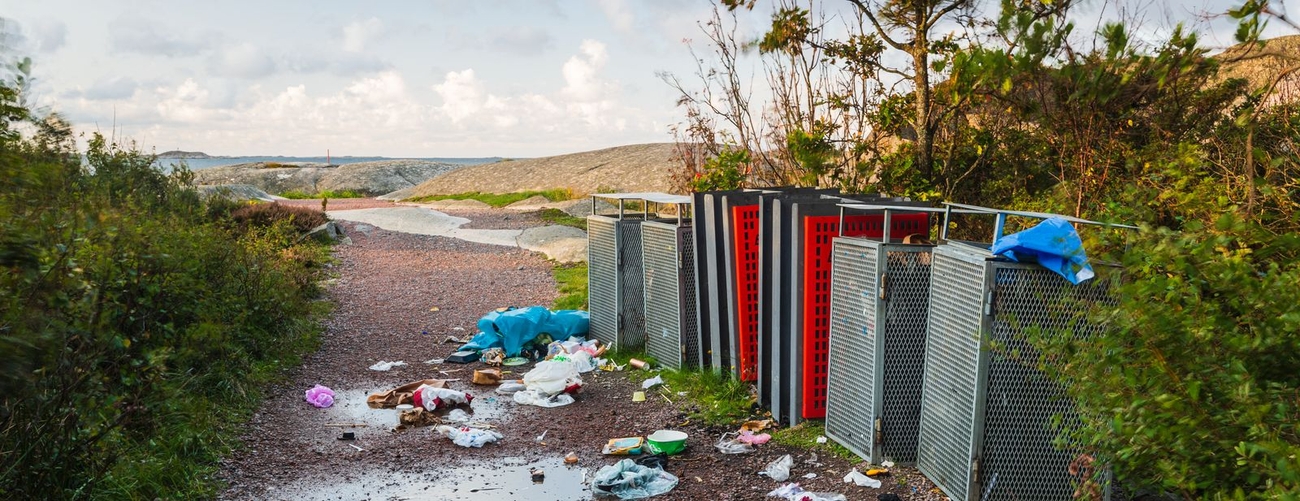 Miljö och utveckling