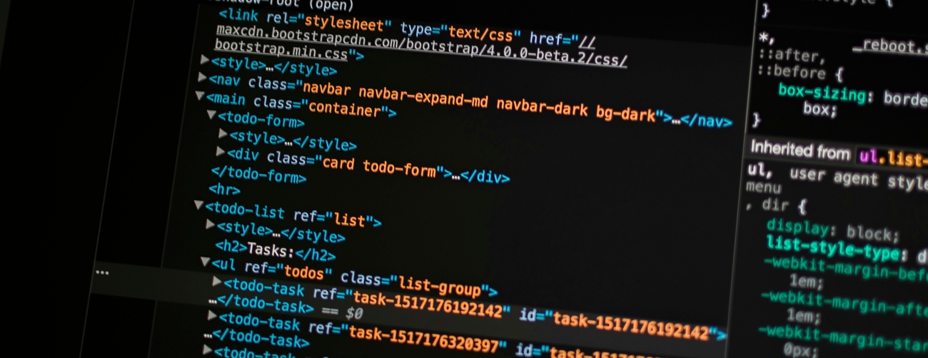 Software Development