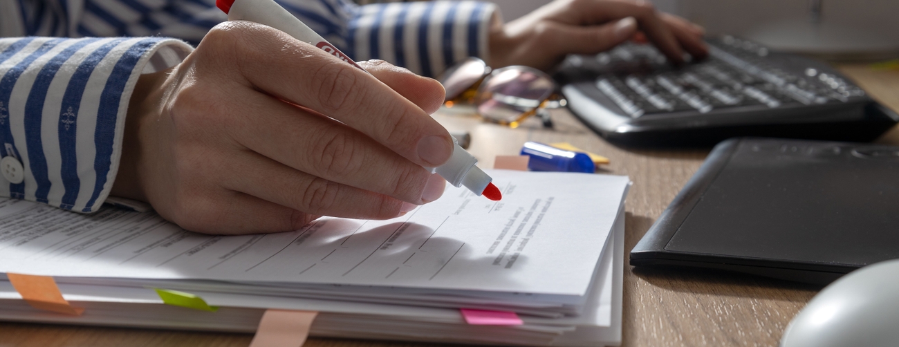 Språkkonsultprogrammet