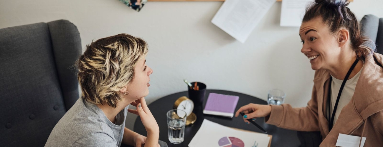 Studie- och yrkesvägledarprogrammet
